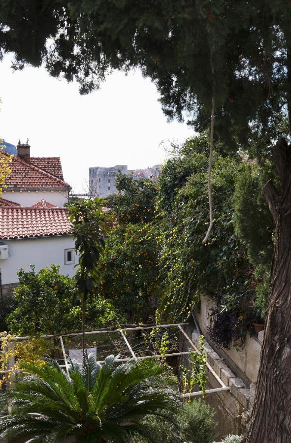 Apartment Niki دوبروفينك المظهر الخارجي الصورة